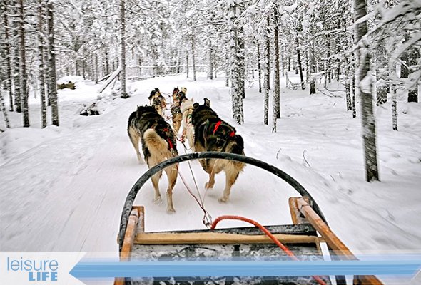 tellevamosmx's tweet photo. #Sinetta es un lugar mágico para presenciar #AurorasBoreales. En una #RutaParaEnamorados por este destino, paseen en trineos jalados por huskies o renos, visiten el pueblo de Santa Claus o esquíen en la estación #Ounasvaara. https://t.co/z82w7T5JHA