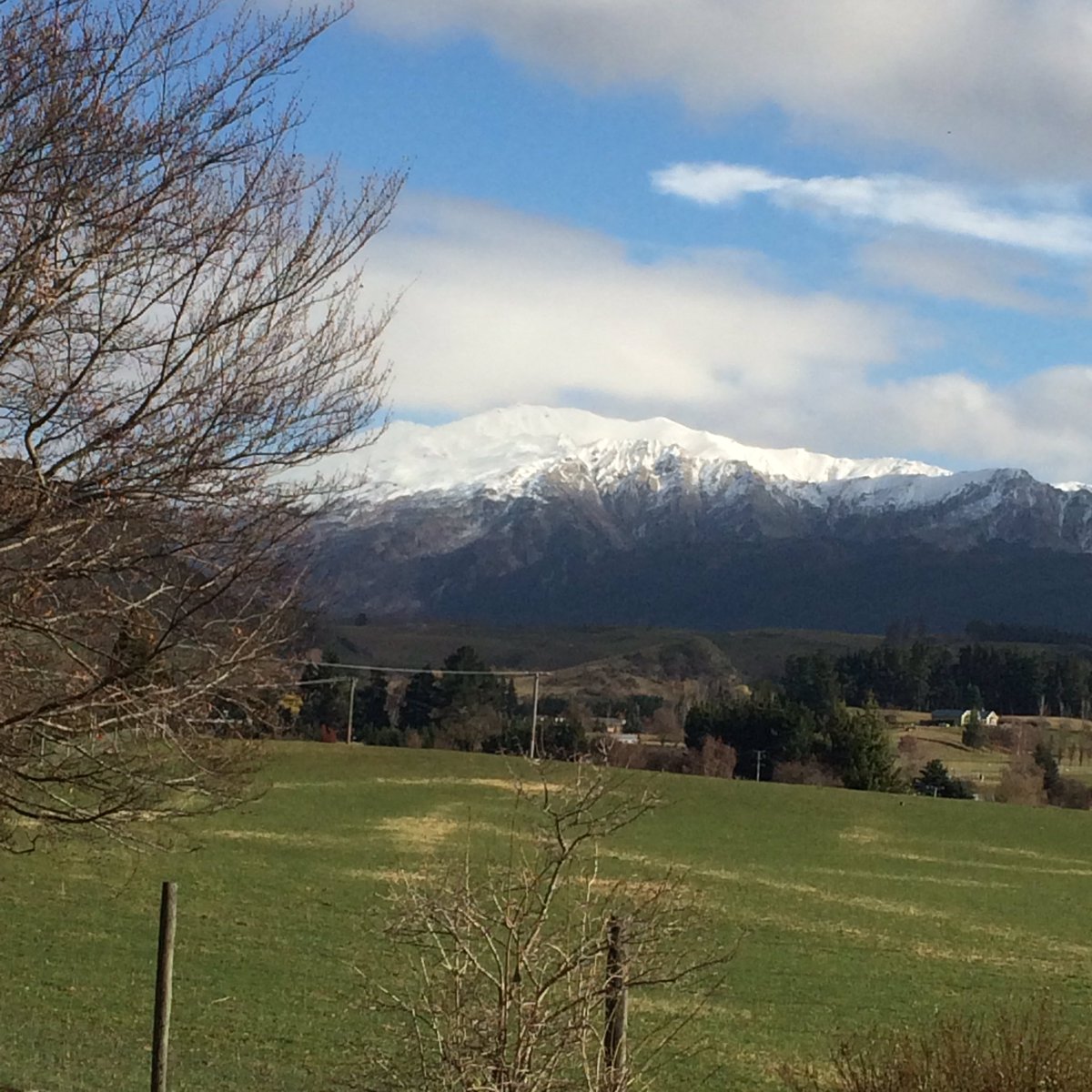 Carol Bunn tweet media