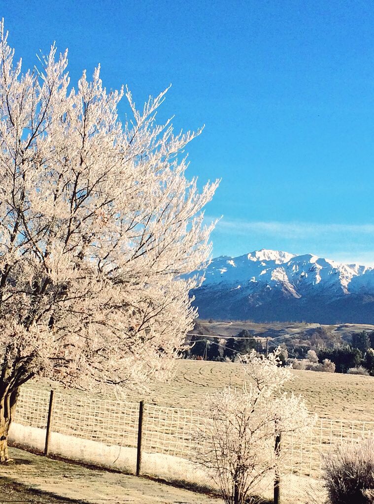 Carol Bunn tweet media