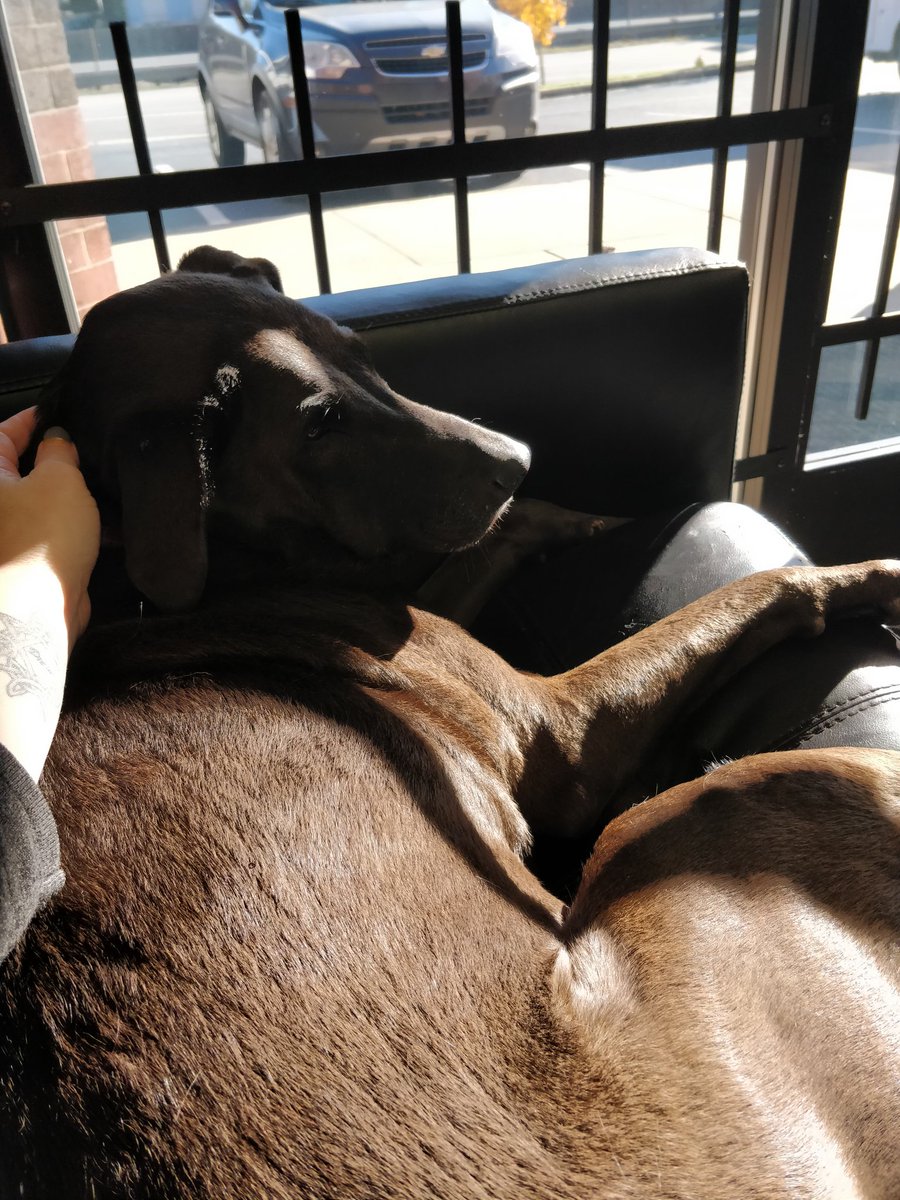 Hanging out with Bailey while I wait for my order at <a href="/MyFreedomSmokes/">MyFreedomSmokes.com</a> ❤️