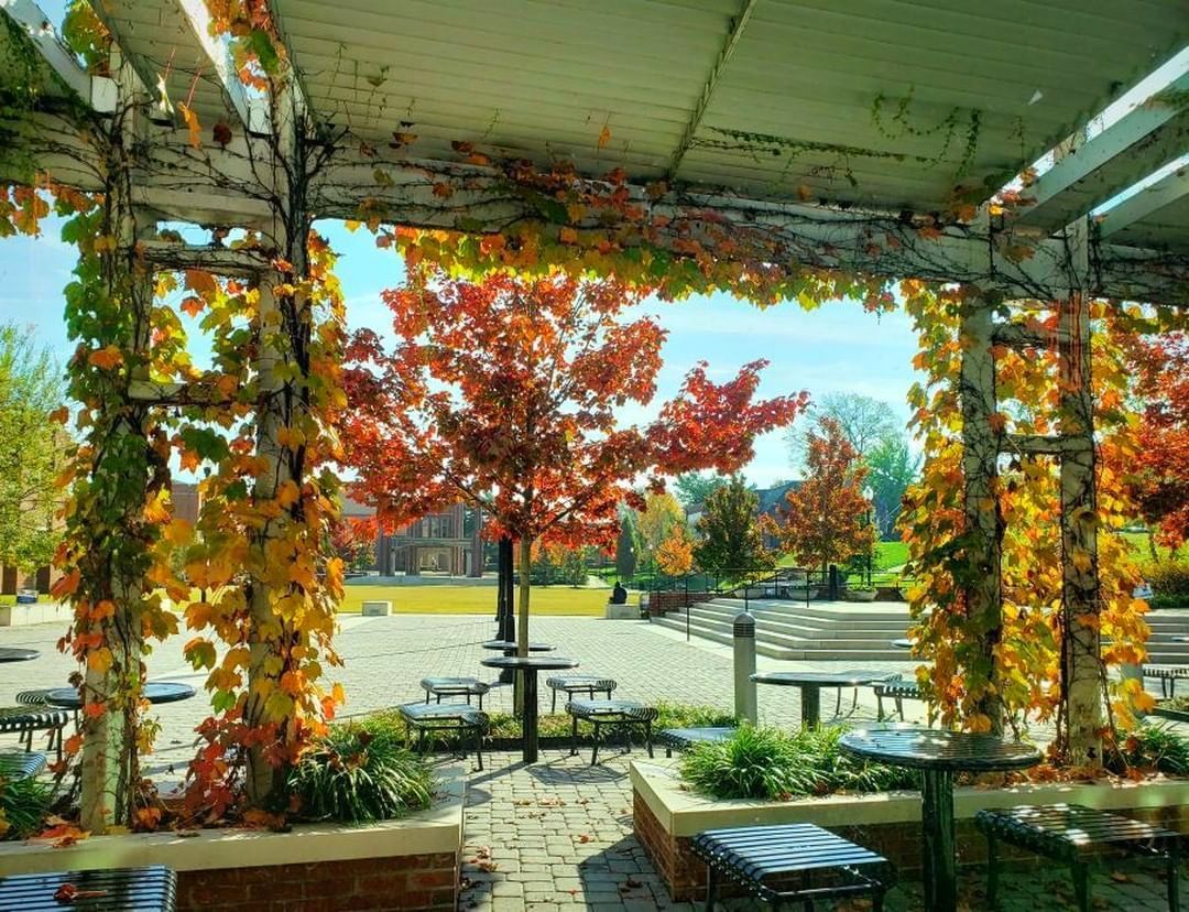 UTChattanooga's tweet photo. Thankful for the beautiful autumn colors on campus. #FallatUTC
πΈ: @abbae_j https://t.co/T5gkboliCD