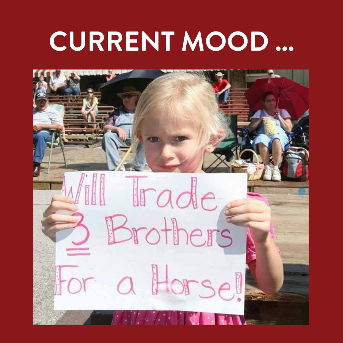 No words 😂#wouldntweall #donedeal