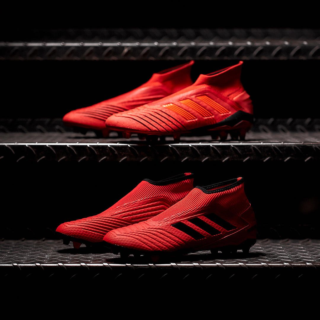 Pro:Direct Soccer ar "For the Initiated the adidas Predator 19.3 laceless edition, here to bring innovation to a whole new audience. Get yours first #ProDirect 🛒➡️https://t.co/3FhwBRJXrO #OwnPerformance #adidasfootball #