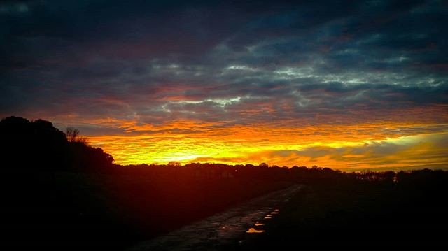 bluewoodp's tweet photo. Reposting @bluebelgian:
Today sunset #sunset #sunrise #sun #tree #bluebelgian #beautiful #red #orange #pink #sky #blue #cloudporn #nature #clouds #horizon #photooftheday #instagood #gorgeous #warm #view #night #landscape #silhouette #instasky #all_sunset #love #travel #belgium https://t.co/Gh0z6vmd9D