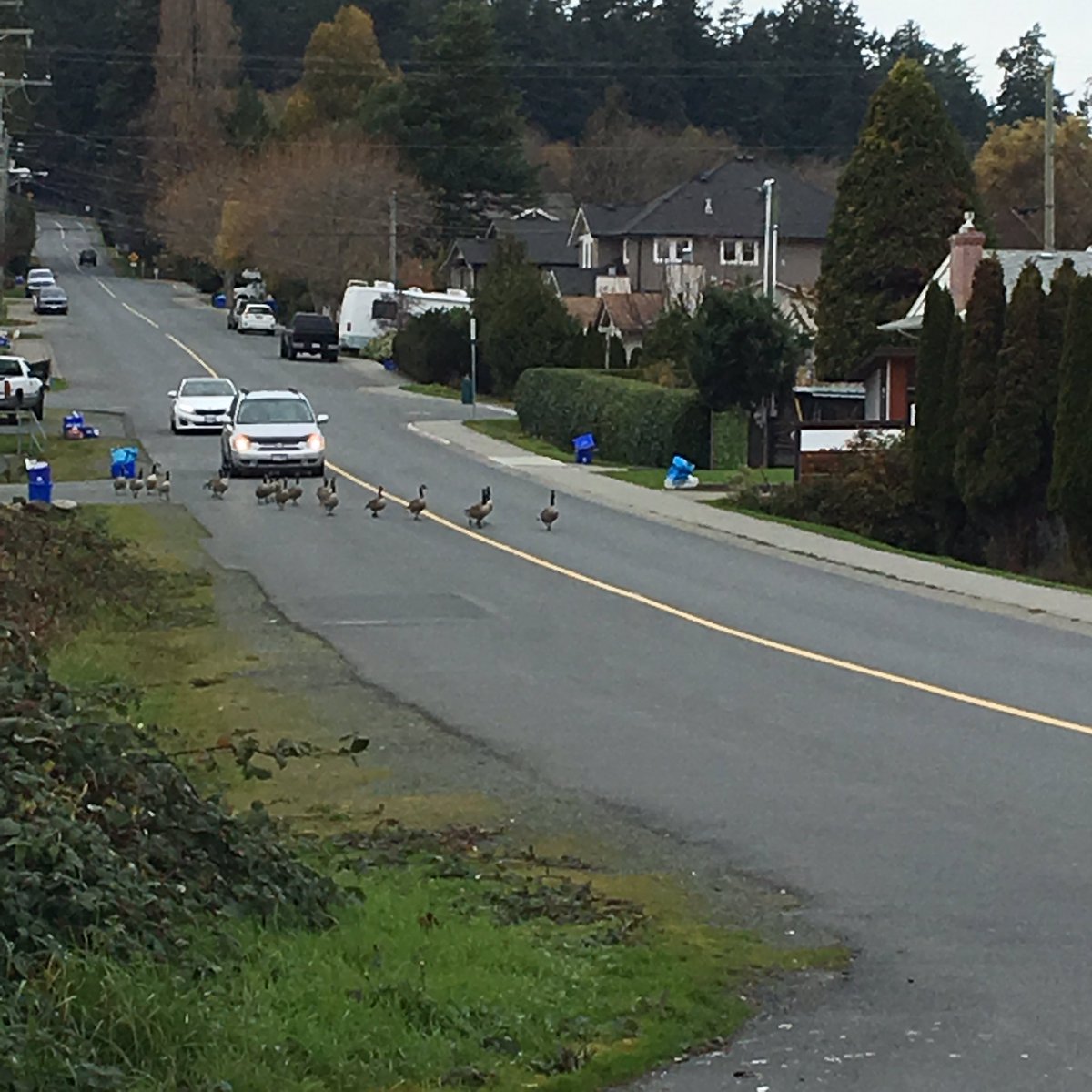 Ann Marie tweet media