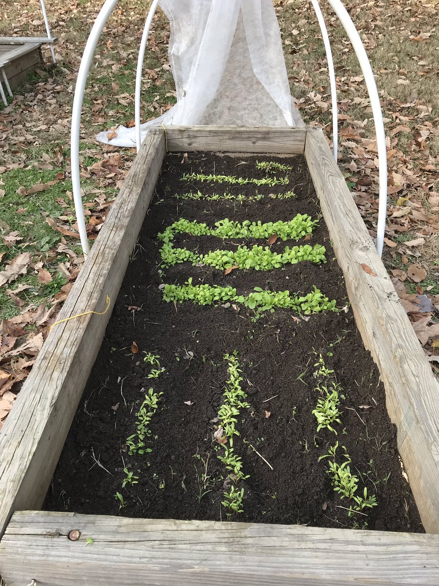 Ms. Maura tweet media