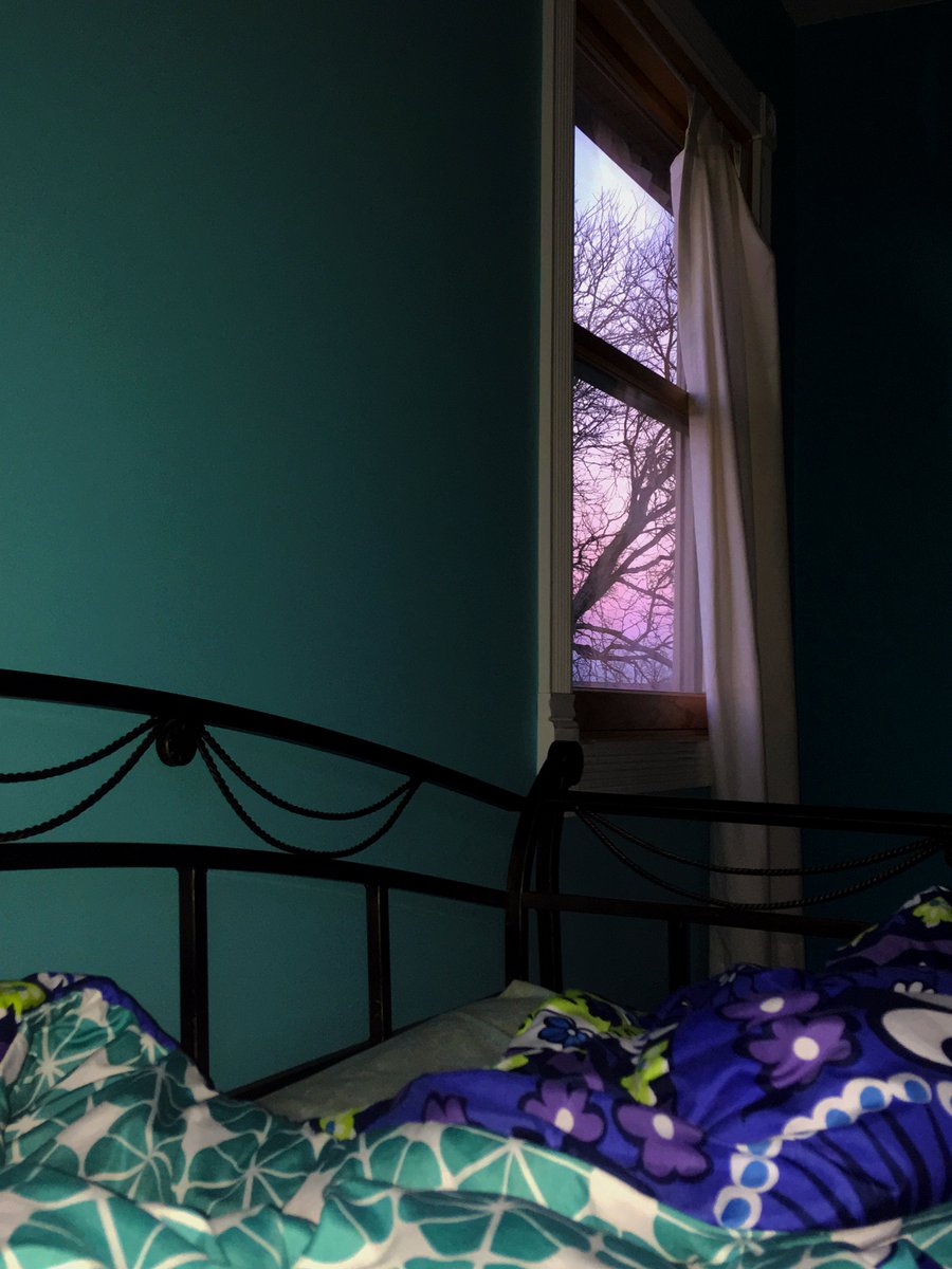 _ellephotos's tweet photo. #chsbed https://t.co/guHtRHLO8M