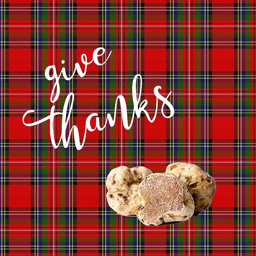 yaaas_gastro's tweet photo. Se aproxima #GIVETHANKS, la 3ª cena #FashFood... ¿estás preparado para vivir esta experiencia? ¿listo tu #dresscode Montería Tartán?... ¡Te esperamos en un apetitoso encuentro de la mano de los Chefs @tomas_ecija y @cundisanchezbanos! de los restaurantes #LaMaita y #ElAlbero. https://t.co/Nc2oQwhmUc