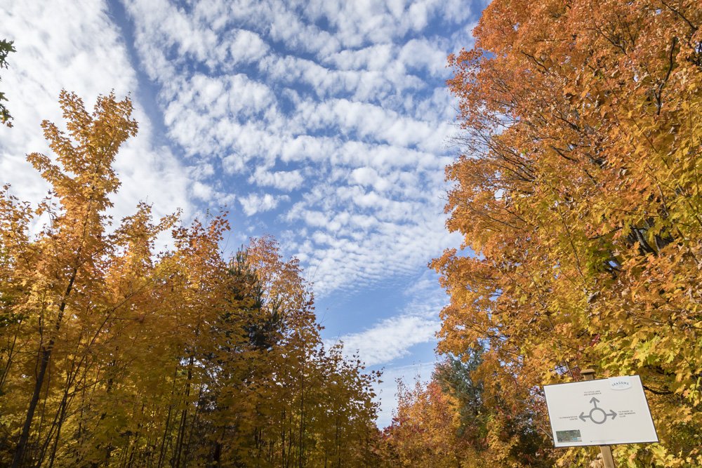 SeasonsLittleLake tweet media