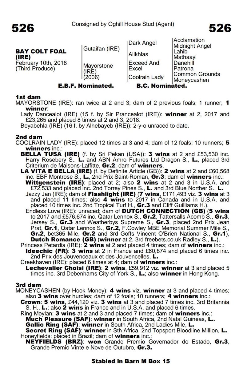 Yeomanstown Stud Consigned By Oghillhousestud Lot 526 Goffs1866 November Foal Sale By Fss Gutaifan From The Family Of Dutch Connection Sells To Hillwoodstud For 48 000 Goffsfoalsale T Co Zddbgurihr