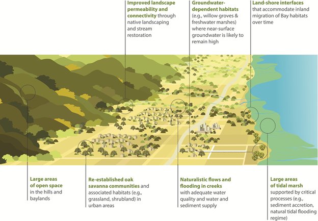 sfei_asc's tweet photo. New research just released from SFEI's Resilient Landscapes team on building resilience in highly modified California landscapes: https://t.co/gVncVWBe2D https://t.co/aaAlKBWKlN