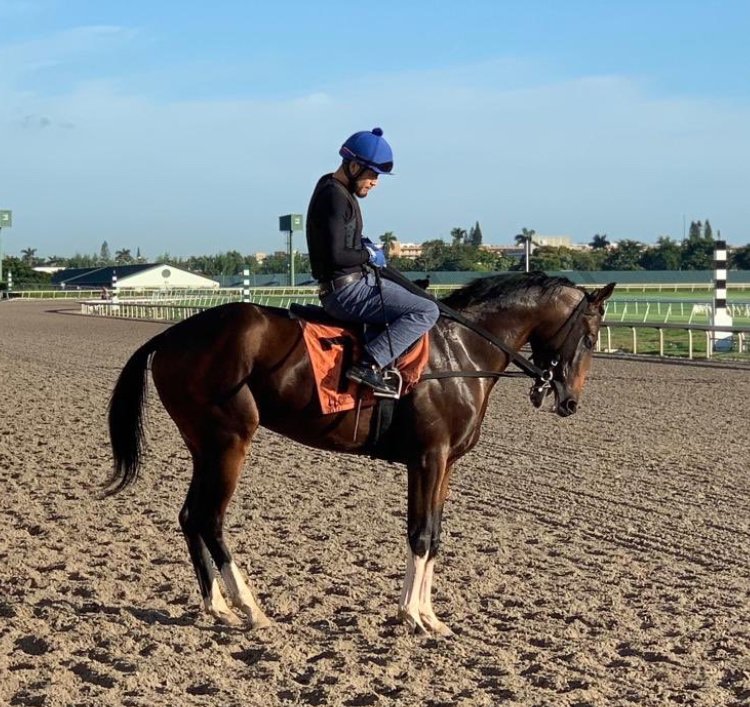 #Hipismo MY RACING MATE!!! #Venezuela #Studazatlan #Lossamanes #Gulfstream #Miami #Cachazo #Seriehípica #Clásicodelcaribe