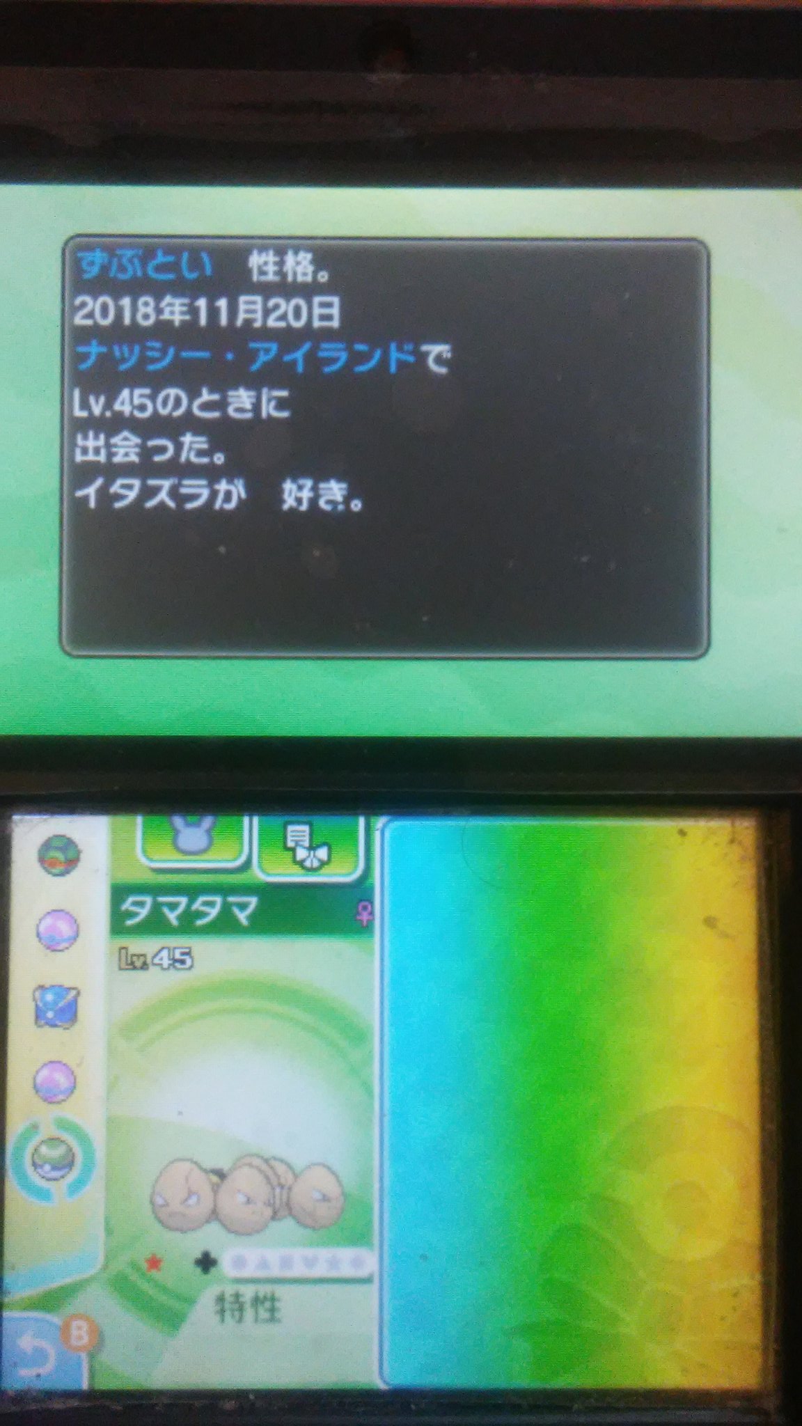 リナ 久々にポケモンチェインをしました 今回のターゲットは色違いのヌメイルorポワルンのはずだったんだけど 何故か色違いのタマタマが出て来た ポケモンウルトラサンムーン ポケモンusum 色違いポケモン チェイン T Co Qohityqfrz
