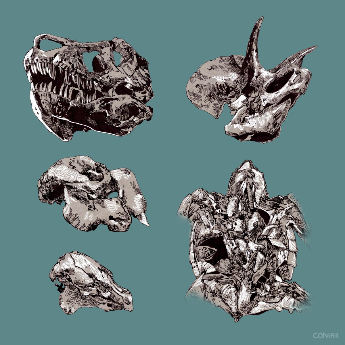 coniiai's tweet photo. nature studies https://t.co/pwsaS65RA0
