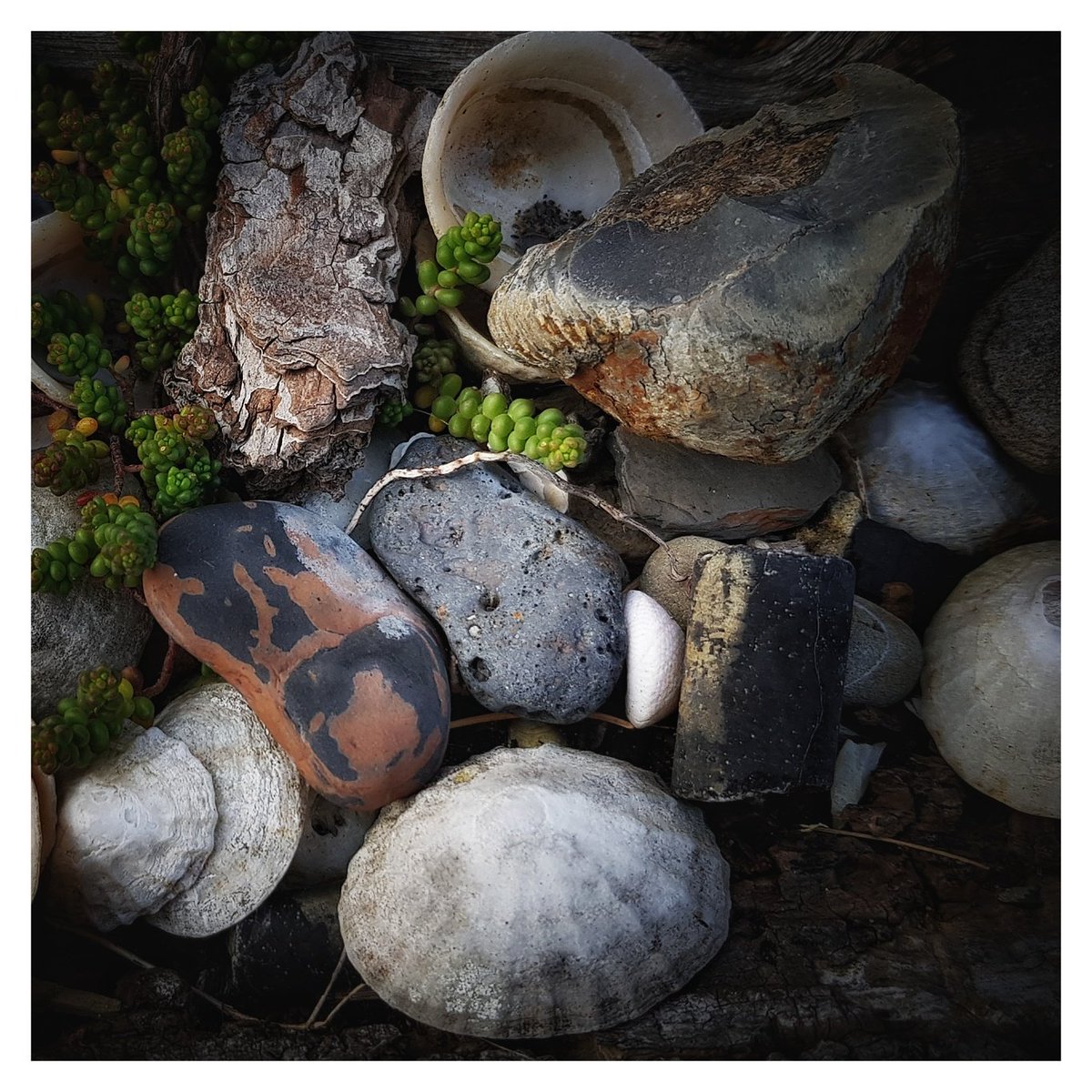 Beach Collection...
#runswickbay #northyorkshire #phone #photography