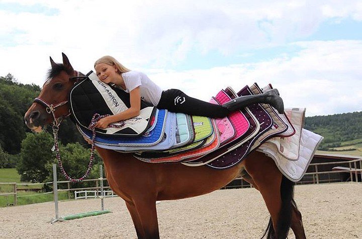 AddictedHorse's tweet photo. Tag a friend who would do this! 😂

#HorseAddict #TheDodo #Horses #Horse #HorsesOfInstagram #Horsestagram #InstaHorse #HorsePower #HorseRiding #HorseBackRiding #HorseLove #HorseShow #Equine #Equestrian #CowBoy #CowBoys #CowGirl #CrossCountry #ShowJumping #Dressage #Pony #Ponies https://t.co/abrV75tenU