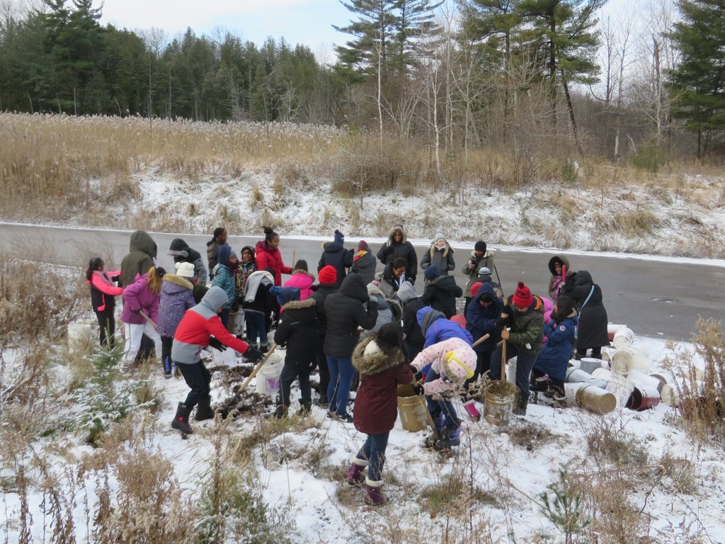frwatershed's tweet photo. We finished our final #treeplantingTuesday and second-to last planting of the season and year today! Thank you to students from St. Jean de Brebeuf for helping us mulch and plant today! #TCDSB #optoutside #RougeWatershed https://t.co/R47pkOsl9Y