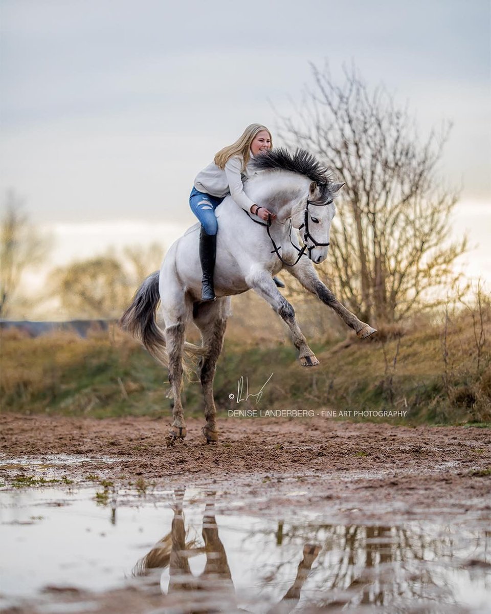 AddictedHorse's tweet photo. Caption this 👇

#HorseAddict #TheDodo #Horses #Horse #HorsesOfInstagram #Horsestagram #InstaHorse #HorsePower #HorseRiding #HorseBackRiding #HorseLove #HorseShow #Equine #Equestrian #CowBoy #CowBoys #CowGirl #CrossCountry #ShowJumping #Dressage #Pony #Ponies https://t.co/EvTDL9UeNy