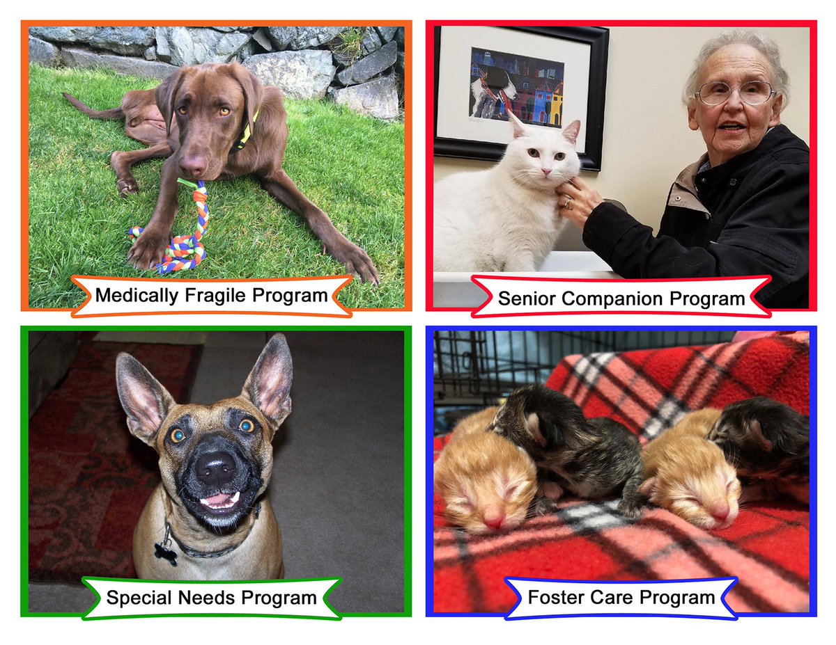 KindredSouls05's tweet photo. #GivingTuesday 2018 is November 27. The Dimmer Family Foundation is generously matching donations made to us, up to $2500, on that date! https://t.co/RD6SU5knna