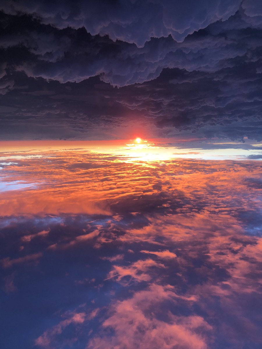 MattDinenna's tweet photo. Gods Creation https://t.co/0iz3TUShSc