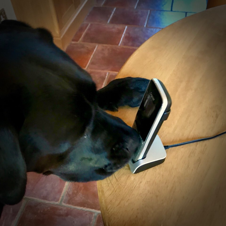 Graeme Hall tweet media