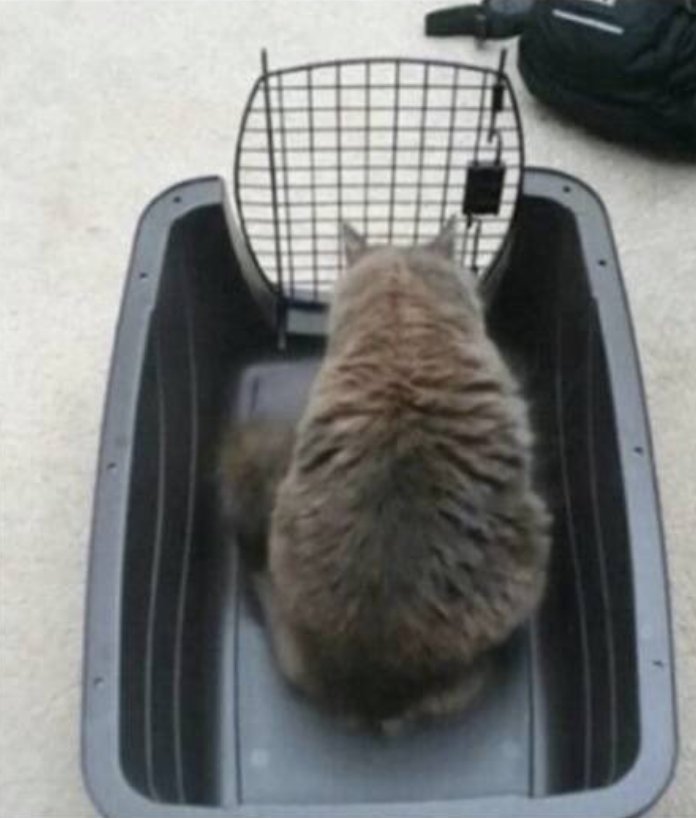 mrcodella's tweet photo. Almost all barriers and roadblocks are imaginary, made up by other silly humans. Limiting yourself to conform to these fake boundaries is the surest way to fail. There are always ways around things. Don't be fooled. https://t.co/ntvY56tZWc