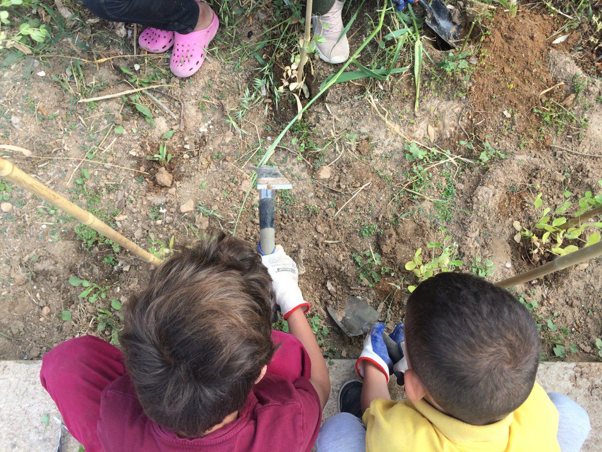 betterdaysngo's tweet photo. One shovel. One hose. Seedlings, and 18 tiny little gloved hands. "Teacher, me!"

This is Eco@BetterDays: feeding kids' minds and souls with the goodness of nature on #WorldChildrensDay. https://t.co/amZLHzRQwq