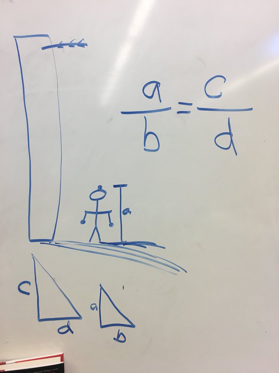 Lauren MacKillop tweet media