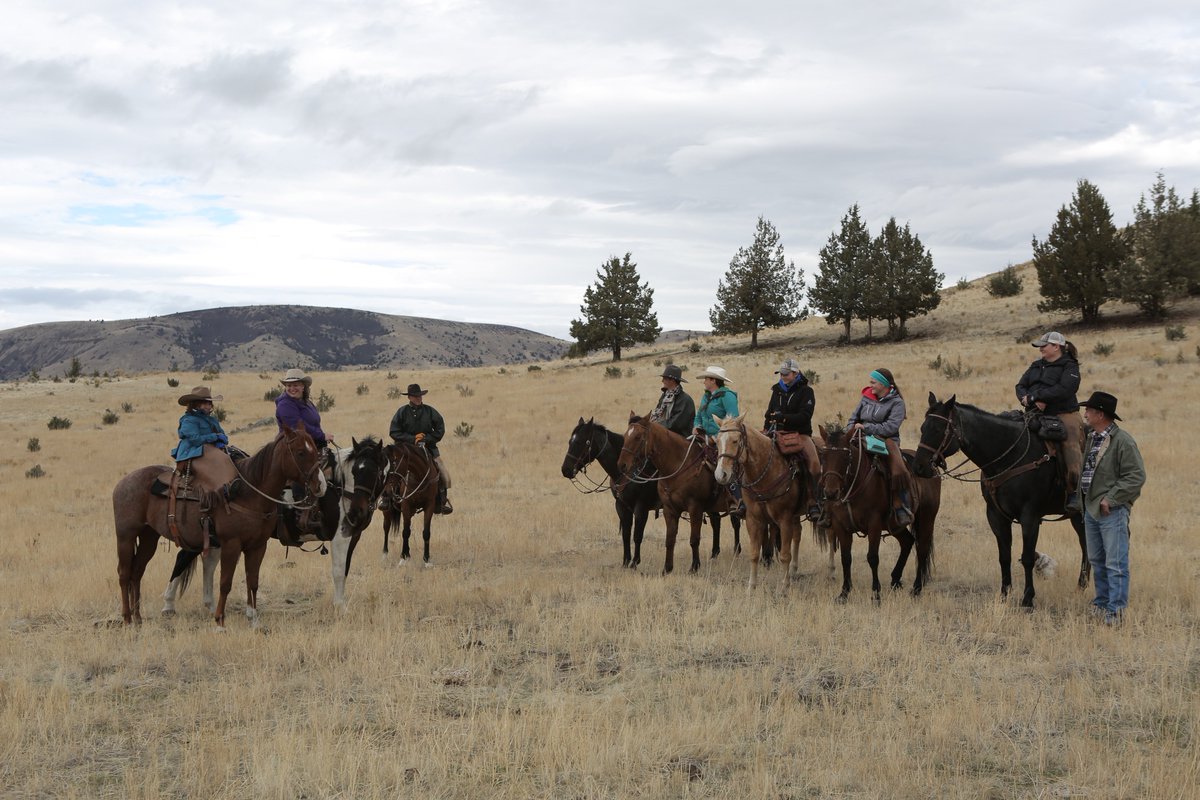 UsaSeeing's tweet photo. Journalist, @brandyyanchyk, of @UsaSeeing was put to work MOVING #CATTLE &amp; #horseback riding at the @WRRetreat in #Fossil, #Oregon. #SeeintheUSA will be on public TV stations in the USA in 2019. #traveloregon #AskOR  #TravelTuesday #adventurecalls #arcteryx @NETA_Tweets https://t.co/S9ZCn1ORrv
