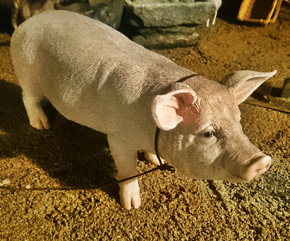 veracruzpla's tweet photo. Nos encanta la forma que esta cogiendo el Belén Crucero, nuestros animalitos parecen de verdad...... https://t.co/xjxTJs40LN