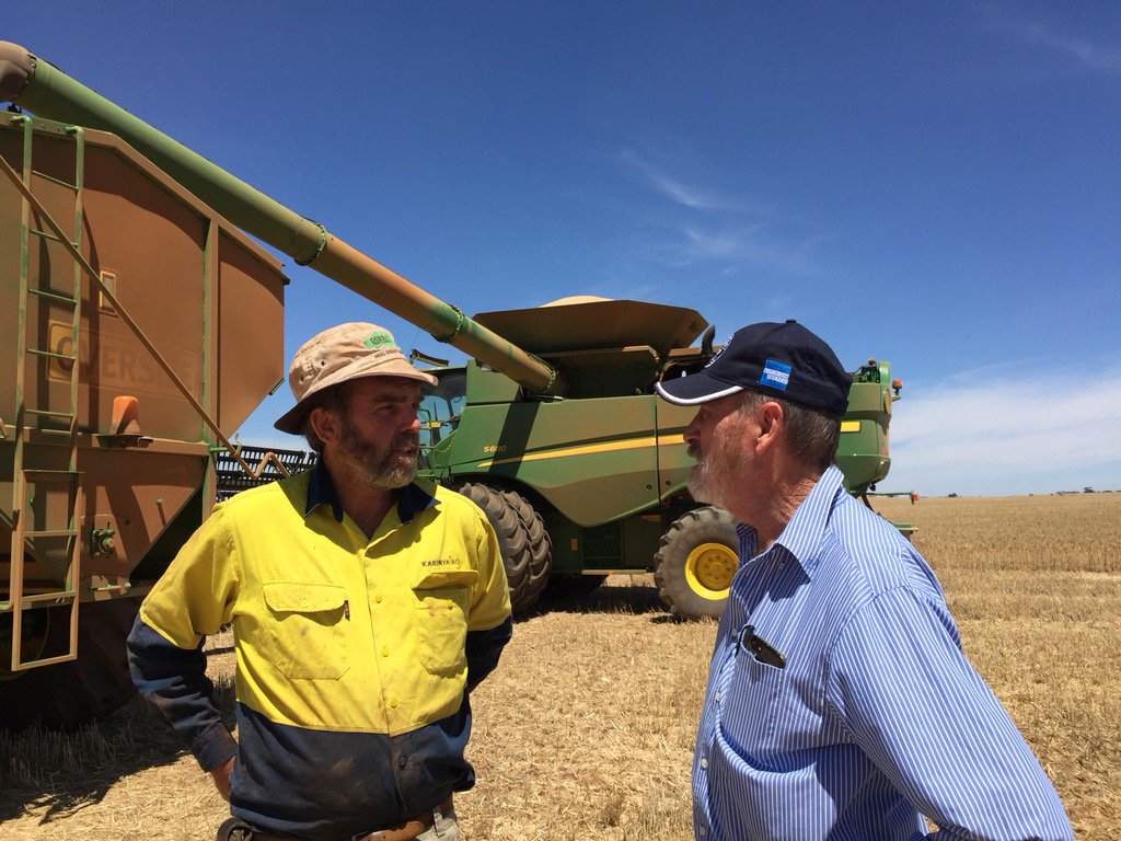 Rowan Ramsey tweet media