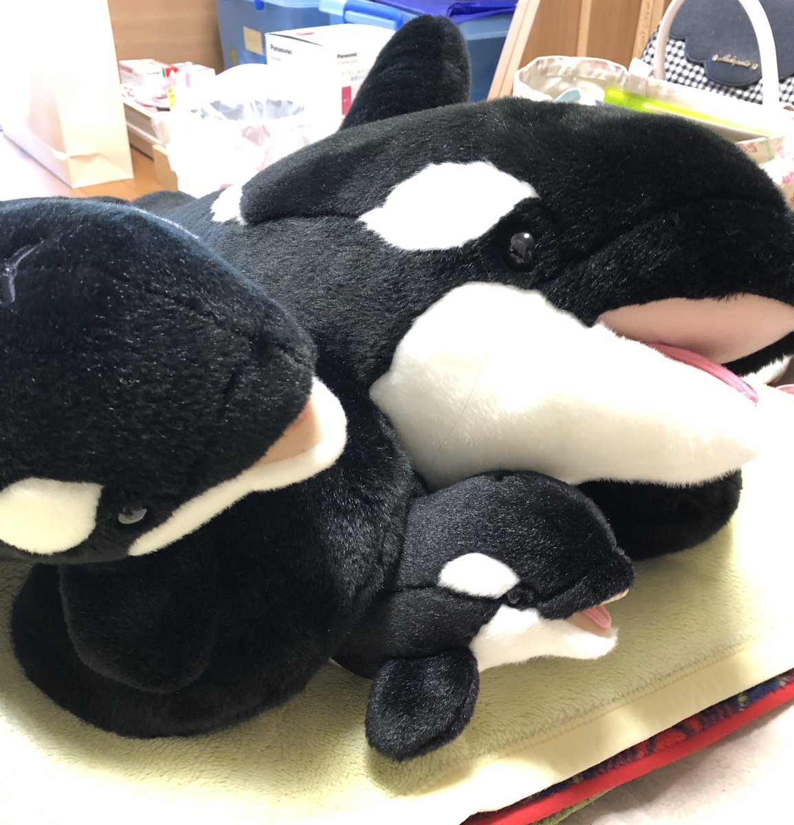 テク テクに狩る 管理人 Kumiffy9350 おはようです 名古屋港水族館へ行った時に姉ちゃんが買ってきた ぬいぐるみです かわいいですよね Twitter