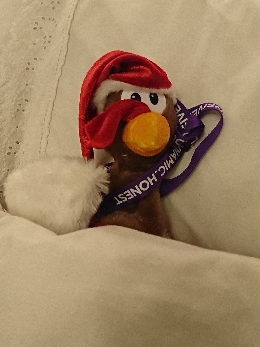 SteveT68439147's tweet photo. I'm exhausted after a long day of tweeting.  Time for bed now, I've a long day ahead tomorrow working on @MuirGroupHA Customer Satisfaction.  Goodnight all #Muir50 https://t.co/TUyR6oYgRv