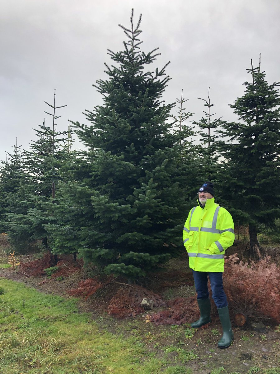 Get Fresh Superfoods. (@freshsuperfoods) on Twitter photo 