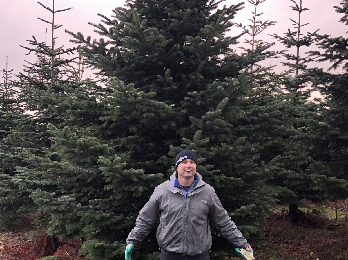 Get Fresh Superfoods. (@freshsuperfoods) on Twitter photo 