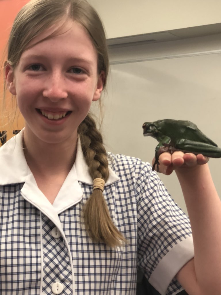 Ms_suth's tweet photo. #Wildaction visiting our school for our Year 5 Animal Adaptations unit. Crocodile, lizards, snakes, frogs, cockatoos and koalas it was a highlight of the term. #wildfellscience @MGGS_SouthYarra @billie_staples https://t.co/dbZFO90YuJ