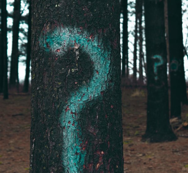 DeliveryQuoteAU's tweet image. Take a look at some of our frequently asked questions. 

#FAQs #deliveryquotecompare

htl.li/hMvC30mFb0q