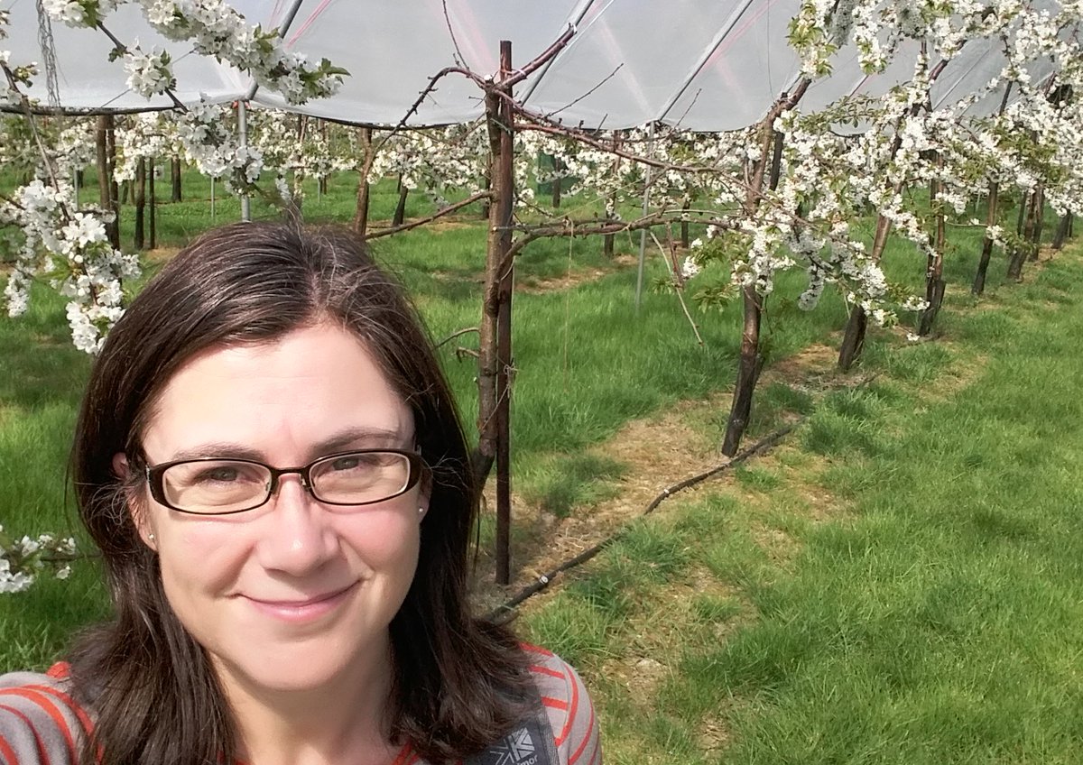 WomenDoingSci's tweet photo. Jane (@JaneCStout) is an ecologist investigating pollinator decline - researching how decline can be reversed and building the evidence case for pollinator conservation. Jane co-led the development of the All-Ireland Pollinator Plan @BioDataCentre

#WomenDoingScience #WomeninSTEM https://t.co/DAO2UgUE4p