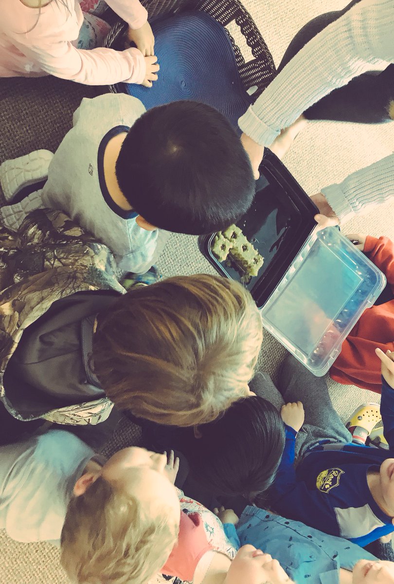 allisapowney's tweet image. A big thank you to Mrs. Phillip and her gr. 3 students for showing us how a tower garden works! @StIsidoreOCSB  #ocsbcommunity #learningpartnership