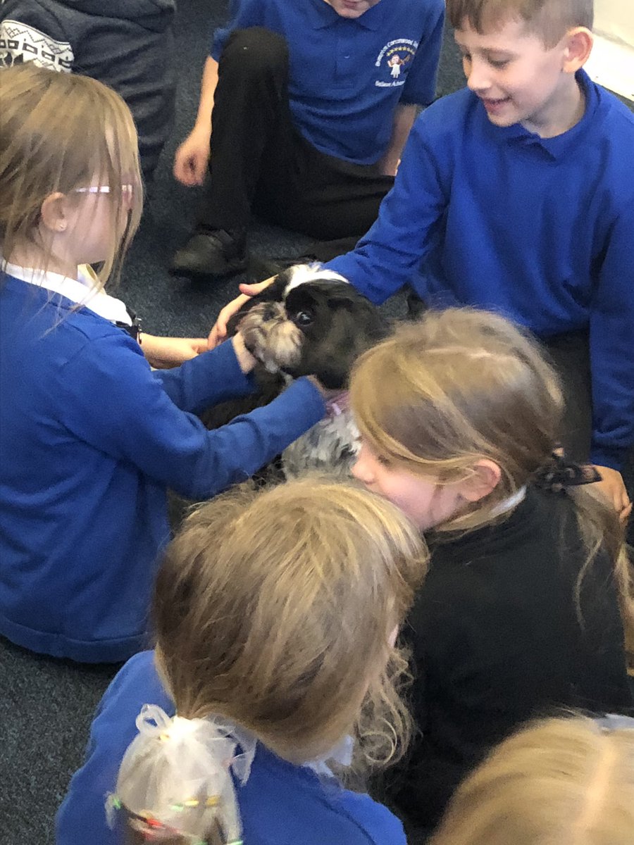 LTheschooldog's tweet photo. Cuddles galore for Tilly today! Although you can’t tell from her face, she does love it!!! 🤣🤣🤣 #learningrewards #therapydog #Rotherhamiswonderful https://t.co/g4WnnNAbnX