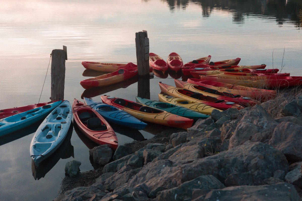 kayaks moored at dusk on the bay