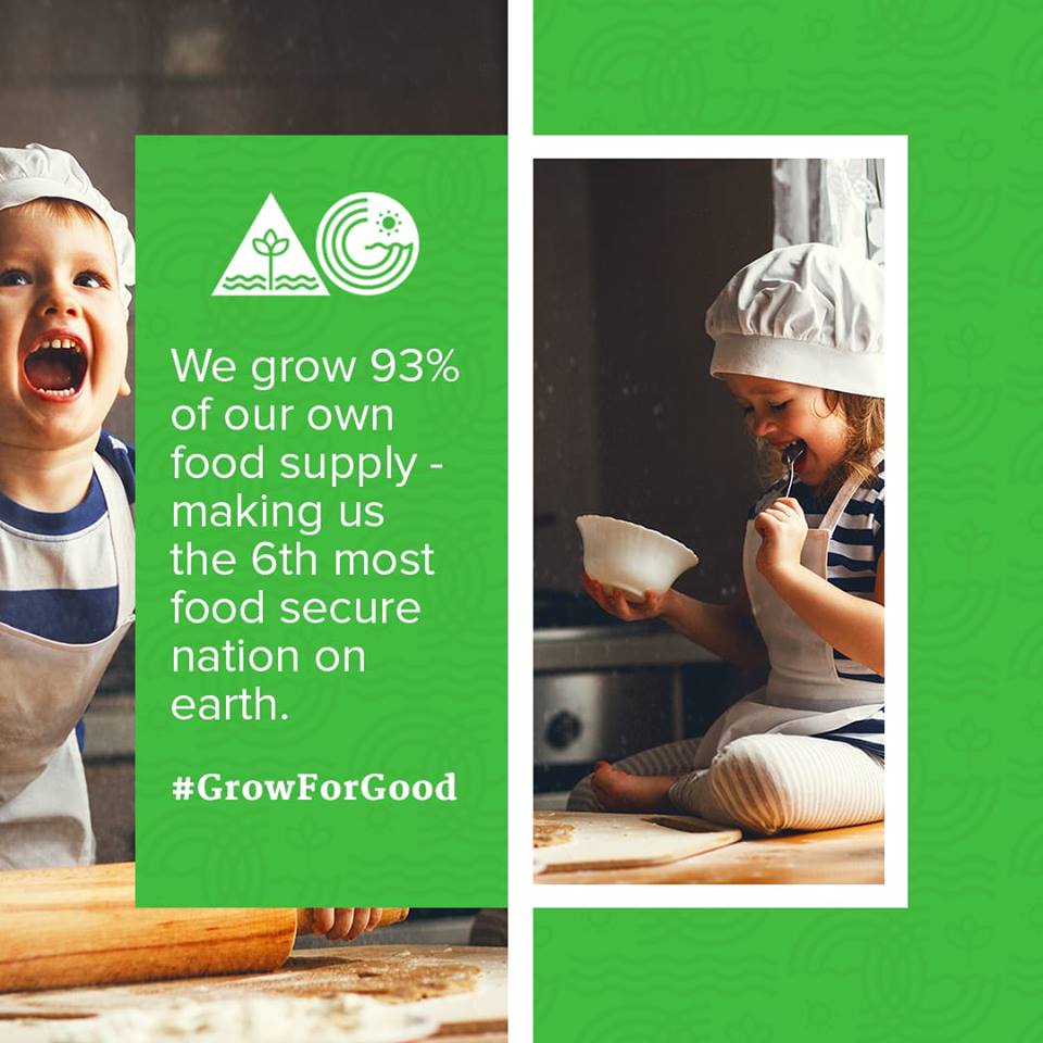 Today is #AgDayAU! We at Emerald Grain are proud to be a partner in the best industry in Australia #agriculture #GrowForGood 

Check out agday.org.au for more information.