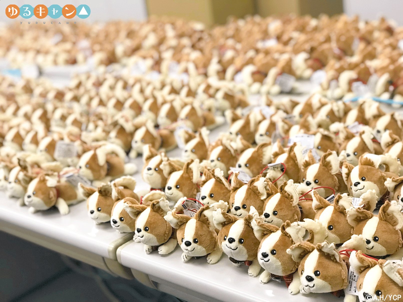 印刷可能 ちくわ ゆるキャン 2940 ゆるキャン ちくわ 犬種 印刷可能 ちくわ ゆるキャン 2940 ゆるキャン ちくわ 犬種