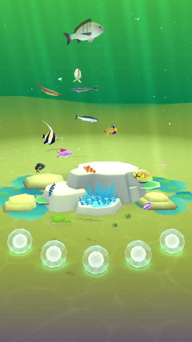 j_n3j's tweet photo. https://t.co/rZ6Iip1IM4

#PocketAquarium
#ポケリウム https://t.co/KlQg24gbgT