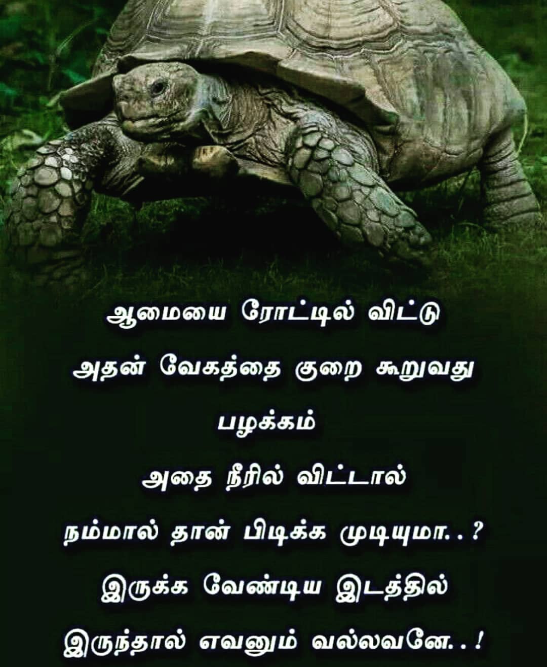 Besttamilquotes On Twitter Good Morning Tamilquotes Besttamilquotes Quotes Motivationalquotes Inspirational Dailyquotes Life