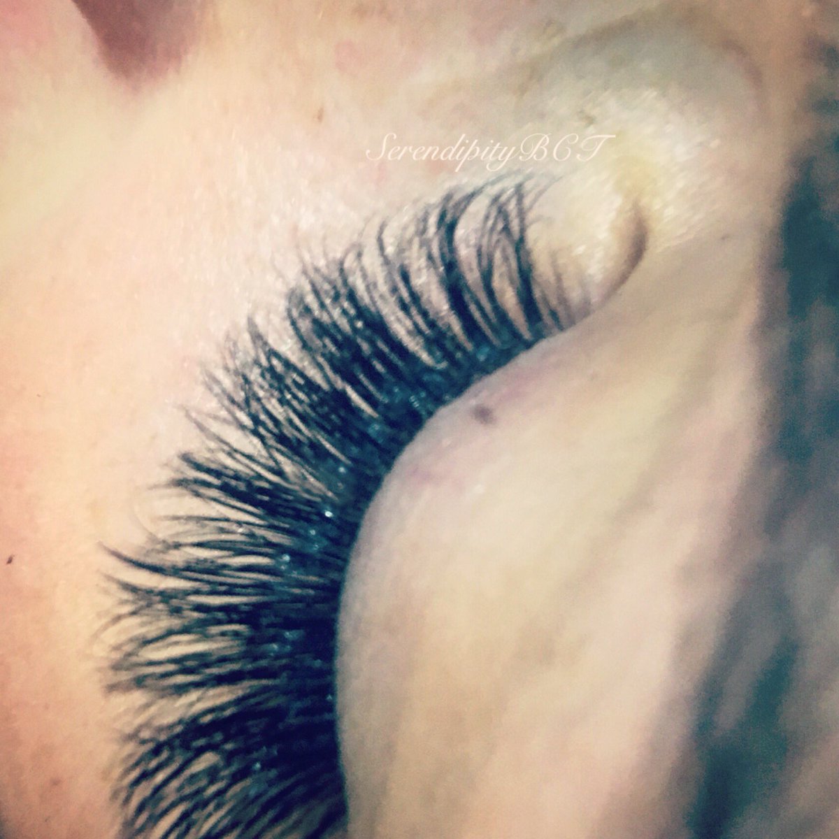 SerendipityBCT's tweet photo. Fluffy volume, D curl, nouveau, SVS lashes #lashes @nouveaulashesuk #nouveaulashes #lashextensions #lashescardiff #cardifflashes #lashextensionscardiff #welshlashes #professionallashes #lashgang #lashnap #lashboss #DCurl #SVS #SVSlashes https://t.co/X70an6wK1E