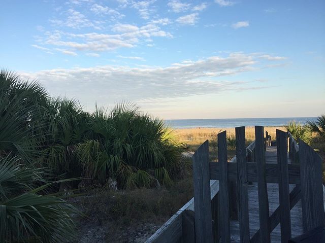 oceanfronttybee's tweet photo. Villa by the Sea- You can’t beat this view! 🙌😍#beachhouse #getaway #spoilyourself.
.
.
.
.
.
#beauty #atlanticocean #tybeeisland  #savannah #georgia #beachbum #relax #ocean #water #sand #beach https://t.co/UHOFhrUkPn https://t.co/lCVzbk7rW0