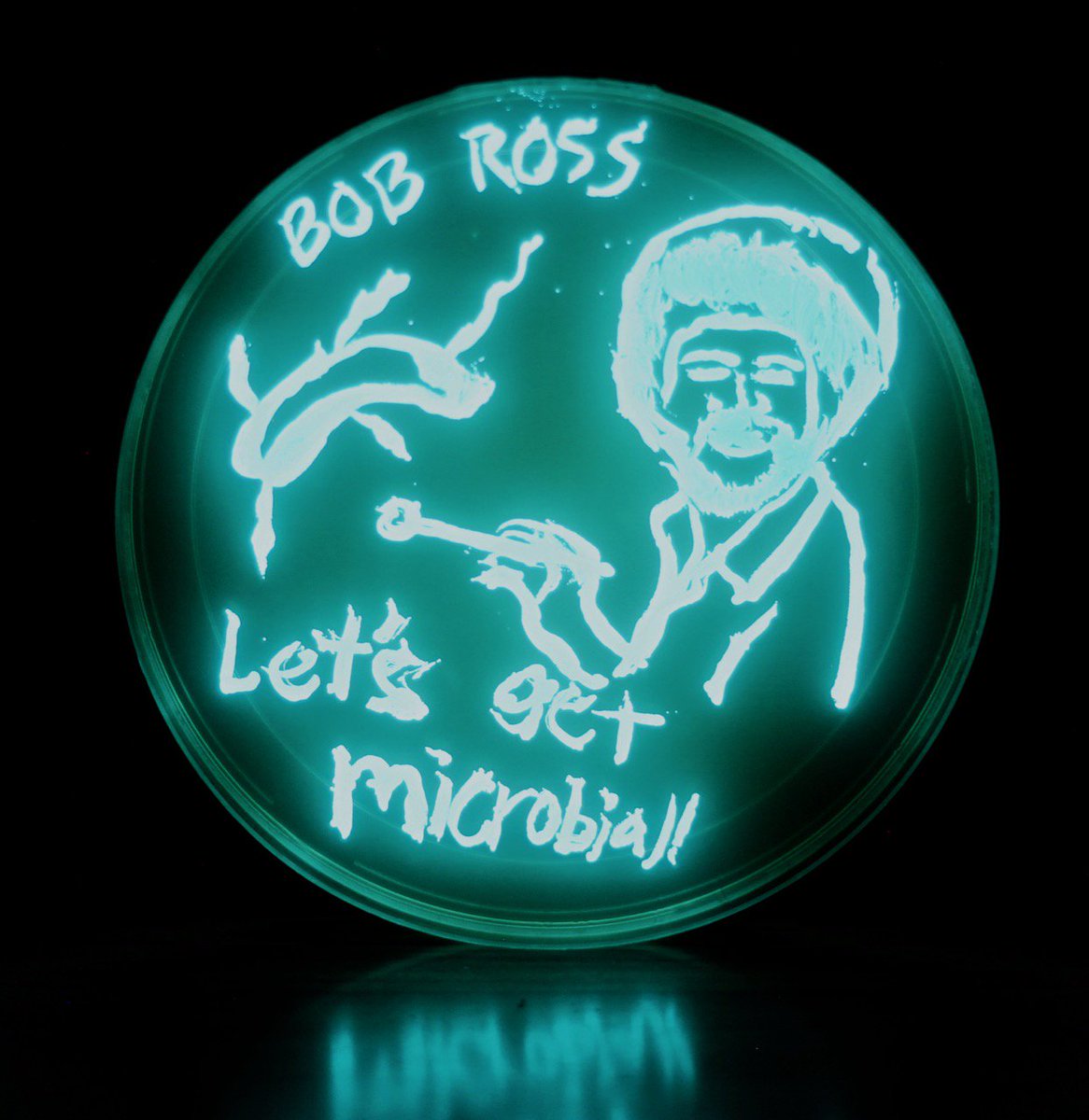 markowenmartin's tweet photo. @univpugetsound @ASMicrobiology #Micronaut #LuxArt contribution Number 2 @univpugetsound @ASMicrobiology #LuxAcademyAwards2018 https://t.co/e1GurJ7hcx