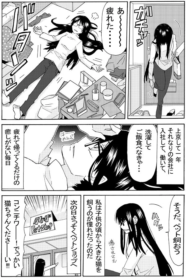ペットショップに猫を買いに行ったらなんだかちょっと違うwwでもすごく良いww