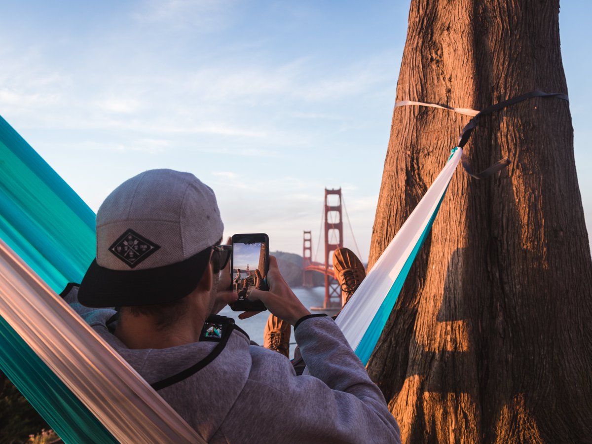 alpineinnsf's tweet photo. Take sight-seeing at your own pace. https://t.co/EPyVfePHRi